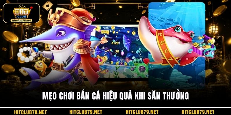 Mẹo chơi bắn cá hiệu quả khi săn thưởng